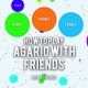 Can you play Agar.io with friends?