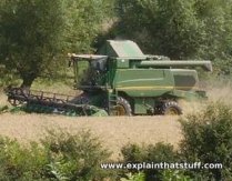 side-view of an eco-friendly John Deere combine harvester cutting corn.